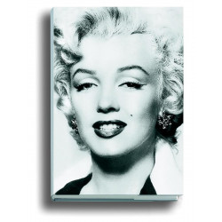 Silver Marilyn - Marilyn Monroe and the Camera