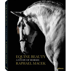 Equine Beauty: A Study of Horses