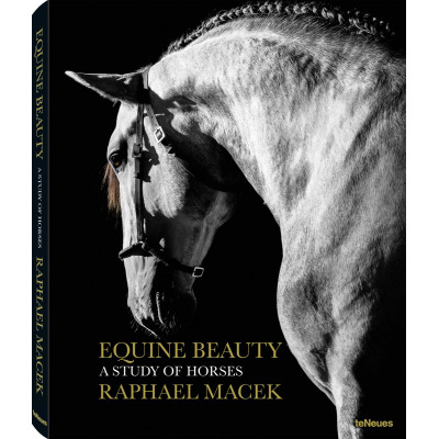 Equine Beauty: A Study of Horses