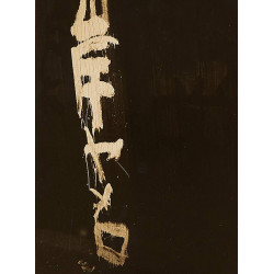 The Gaze of Things: Japanese Photography in the Context of Provoke