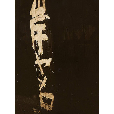 The Gaze of Things: Japanese Photography in the Context of Provoke