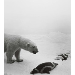 Hiroshi Sugimoto: Dioramas