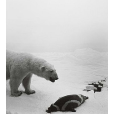 Hiroshi Sugimoto: Dioramas