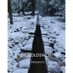Andy Goldsworthy: Projects