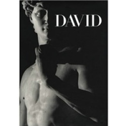 David. Michelangelo