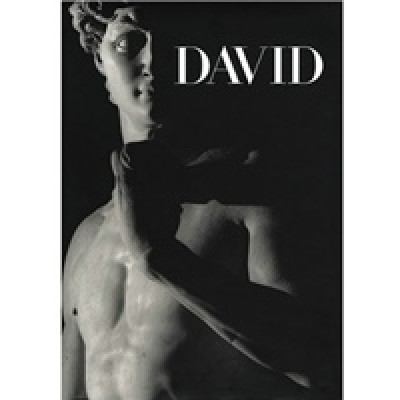 David: Michelangelo (Уценка)