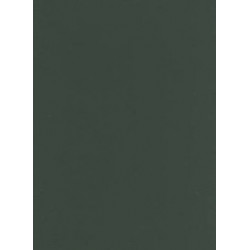Studio Reader