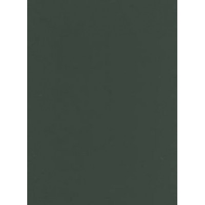 Studio Reader