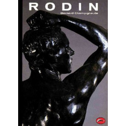 Rodin (World of Art)