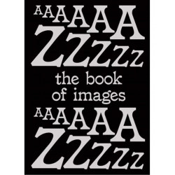 Book of Images: An illustrated dictionary of visual experiences