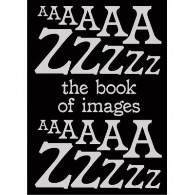 Book of Images: An illustrated dictionary of visual experiences