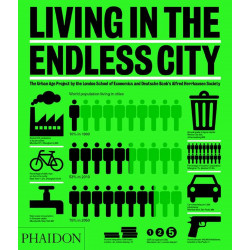 Living in the Endless City (Уценка)