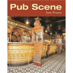 Pub Scene (Уценка)
