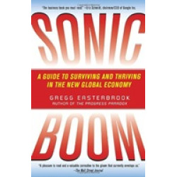 Sonic Boom: A Guide to Surviving and Thriving in the New Global Economy