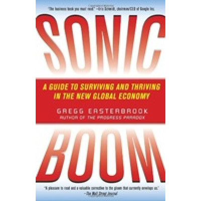 Sonic Boom: A Guide to Surviving and Thriving in the New Global Economy