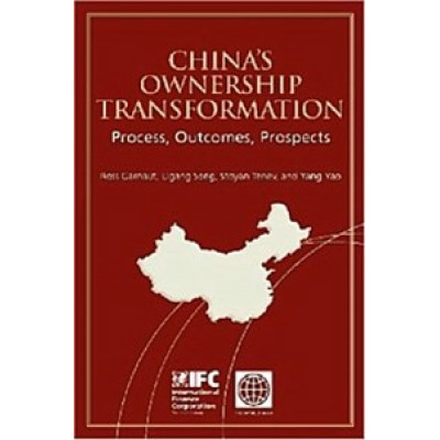 China's Ownership Transformation