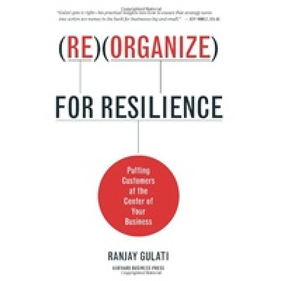 Reorganize for Resilience: Putting Customers at the Center of Your Business (Уценка)
