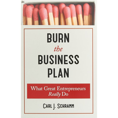 Burn The Business Plan