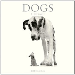 Tim Flach: Dogs 2013 Wall Calendar