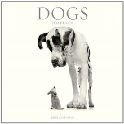 Tim Flach: Dogs 2013 Wall Calendar