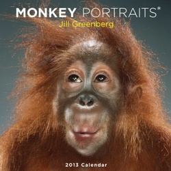 Jill Greenberg: Monkey Portraits 2013 Wall Calendar