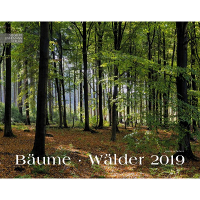 Bäume – Wälder 2019