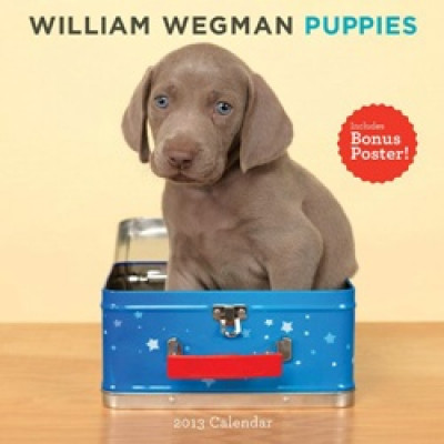 William Wegman: Puppies 2013 Wall Calendar
