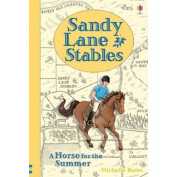 Sandy Lane Stables: A Horse For The Summer (Young Reading Level 4)