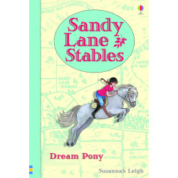 Sandy Lane Stables: Dream Pony (Young Reading Level 4)