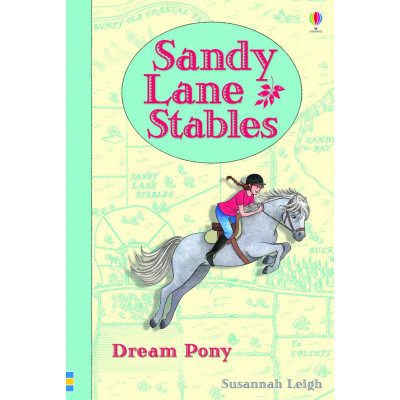 Sandy Lane Stables: Dream Pony (Young Reading Level 4)
