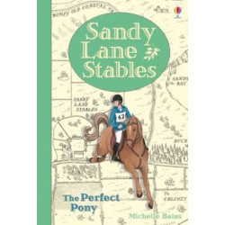 Sandy Lane Stables: The Perfect Pony (Young Reading Level 4)