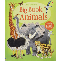 Big Book Of Animals