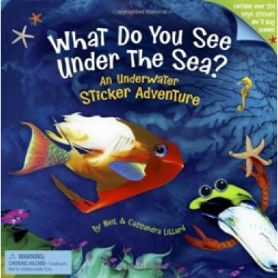What Do You See Under The Sea?