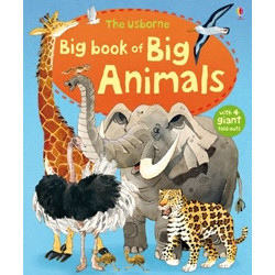 Big Book Of Big Animals