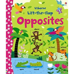 Lift-The-Flap Opposites