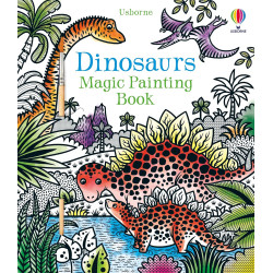 Dinosaurs:Magic Painting Book