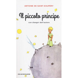 Il Piccolo Principe