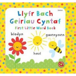 Baby's Very First Word Book Welsh/English