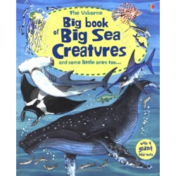 Big Book of Big Sea Creatures
