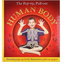 Pop-Up, Pull-Out Human Body