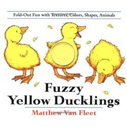 Fuzzy Yellow Ducklings