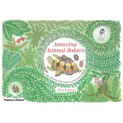 Amazing Animal Babies