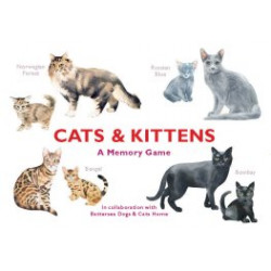 Cats & Kittens Cards