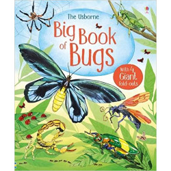 Big Book Of Bugs