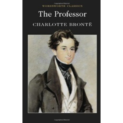 The Professor (Уценка)
