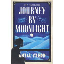 Journey by Moonlight