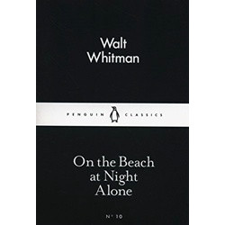 On the Beach at Night Alone