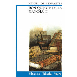 Don Quijote de la Mancha 2 (Уценка)