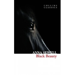 Black Beauty Black Beauty