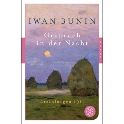 Gespräch in der Nacht